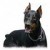 Obrazek