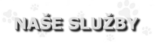 nase-sluzby.jpg
